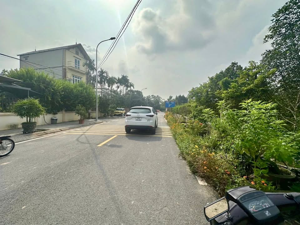 Đất mặt tiền đường DH08 Sài Sơn 258m² - Giá hấp dẫn, chính chủ bán gấp!