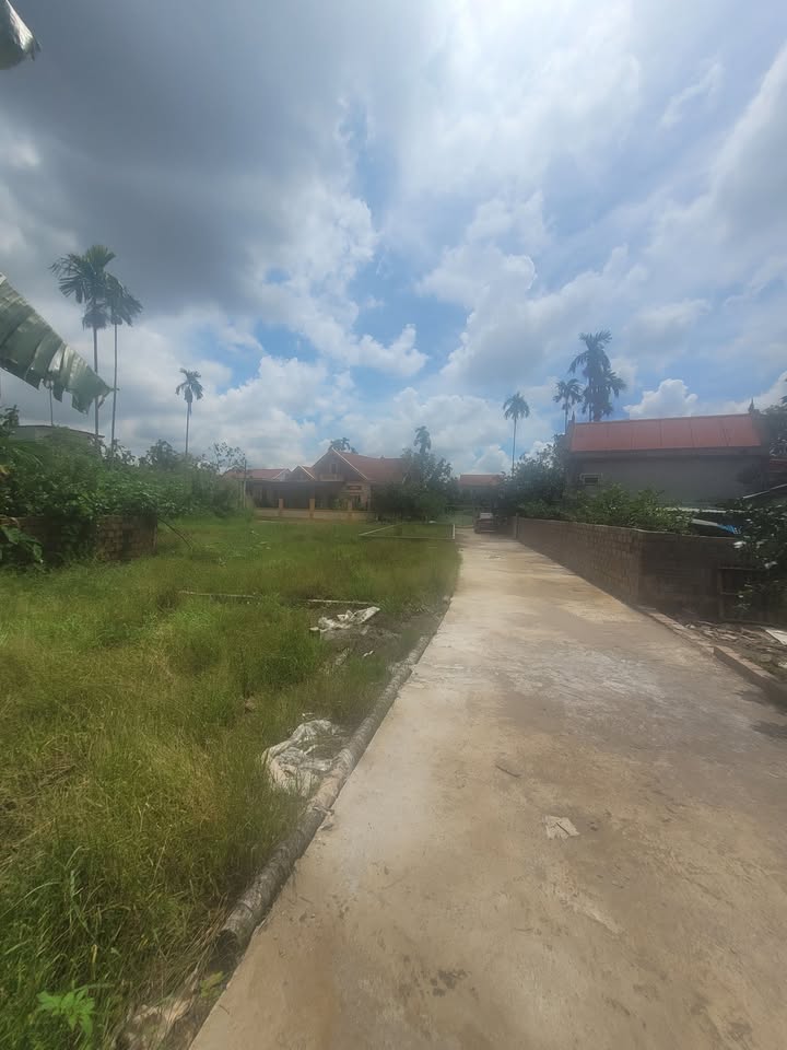 Đất nền Lâm Động, Thủy Nguyên 50m² giá 1.25 tỷ - Tiềm năng đầu tư lớn!