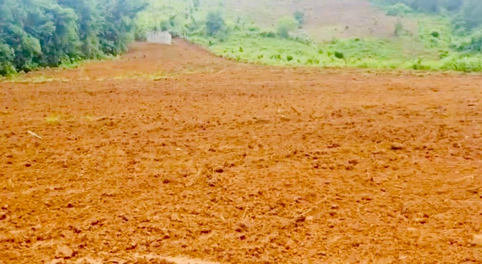 Đất Farm Hợp Phong, Cao Phong, 3279m² giá 1 tỷ - Mảnh đất đầu tư lý tưởng!