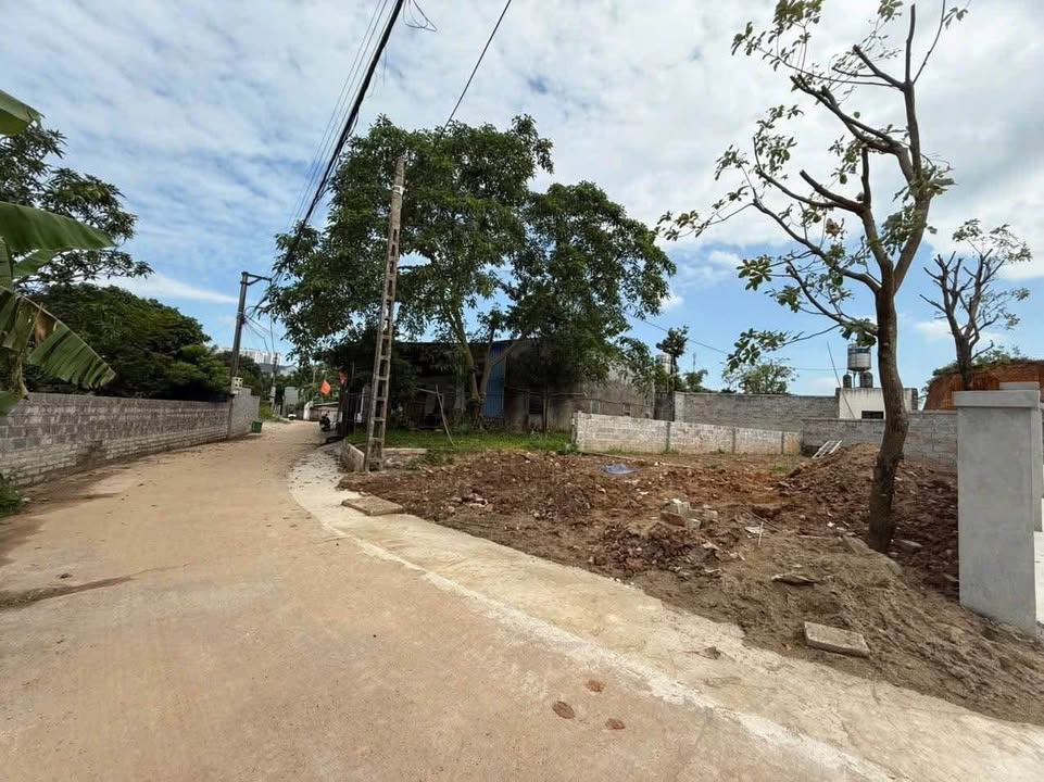 Đất nền Tân Thịnh 120m² giá 1 tỷ - Đầu tư sinh lời cao!