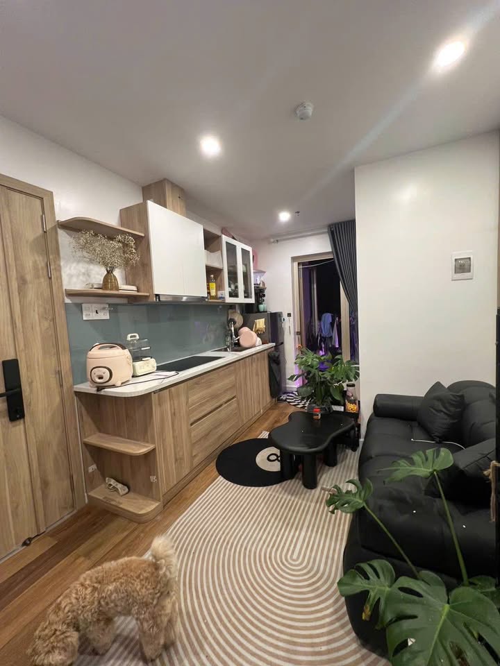 Căn hộ cho thuê Lê Hồng Phong, Đà Nẵng 30m² giá 6.5 triệu - Full nội thất cao cấp, vào ở ngay!