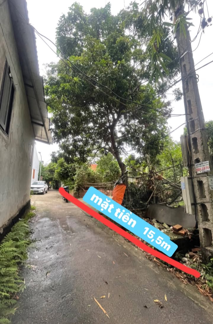 Đất thổ cư Đạo Đức 288m² giá chỉ 1x triệu - Đường ô tô vào tận nơi!