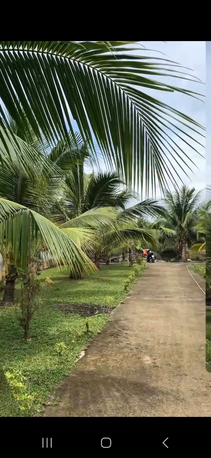 Bán gấp Nhà vườn nghỉ dưỡng xã Tân Thạnh Đông 2240m² giá 13.5 tỷ - Tiềm năng đầu tư lớn!