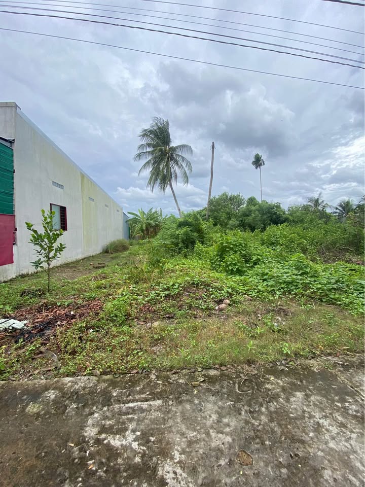 Đất Mỹ Lương, Mỹ Phong 200m² giá chỉ 600 triệu - Đường ô tô tới đất