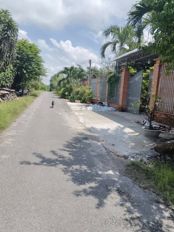 Đất nền chính chủ 232.5m² tại đường Nguyễn Văn Cừ, Tây Ninh - Giá tốt thương lượng!