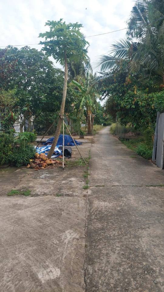 Đất nền gần cầu Kênh Mới Hậu Giang 160m² giá 195 triệu - Cơ hội đầu tư hấp dẫn!