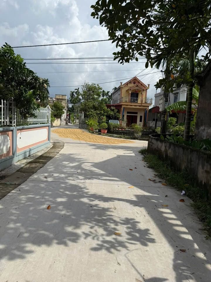 Đất thổ cư xã Bình An, huyện Bình Lục 293m² giá 1 tỷ - Đường ô tô tận nơi!