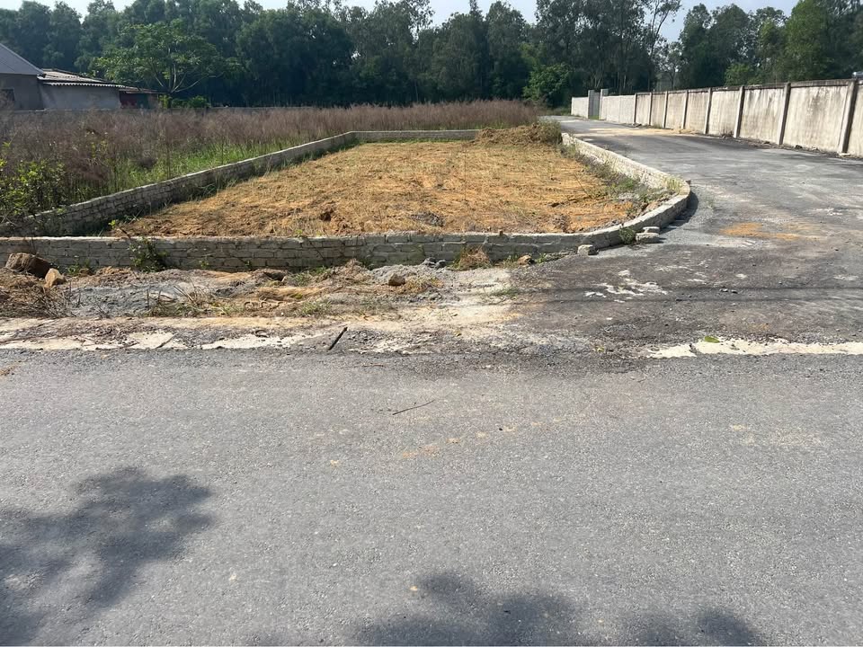 Đất nền xóm 9, Nghi Phong, 165.6m² giá chỉ 2x triệu/m² - Cơ hội đầu tư hấp dẫn!