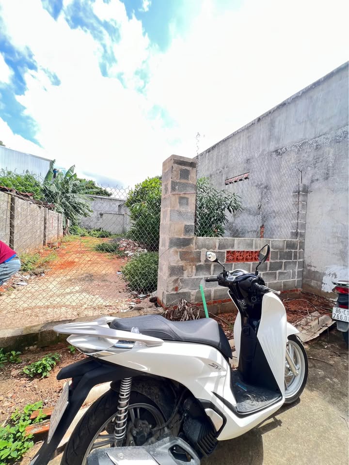 Đất cây trồng 160m² đường Nguyễn Hội, Xuân An giá 900 triệu - Sổ riêng, vị trí đẹp!