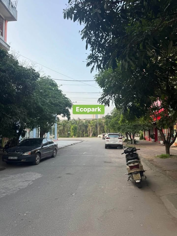 Đất nền khu 6, Hải Tân, Hải Dương 81m² giá chỉ 3 tỷ - Cơ hội đầu tư tuyệt vời!