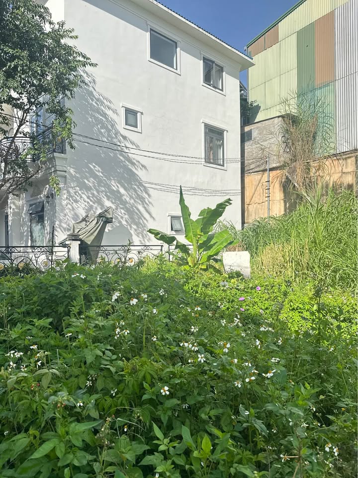 Đất nền tại Nam Hồ - Xuân Trường - Đà Lạt 203m² giá 8.4 tỷ - Tiềm năng kinh doanh tuyệt vời!