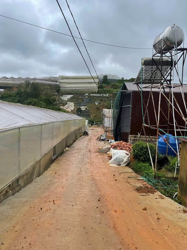 Đất nền Phường 7, Đà Lạt 70m² giá 730 triệu - Đầu tư nghỉ dưỡng lý tưởng!