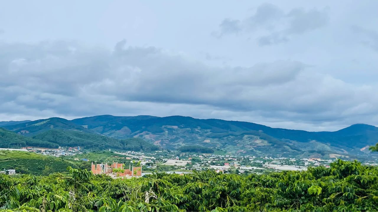 Đất nền Nam Ban Lâm Hà 500m² giá 1.3 tỷ - Lô góc 2 mặt tiền cực đẹp!