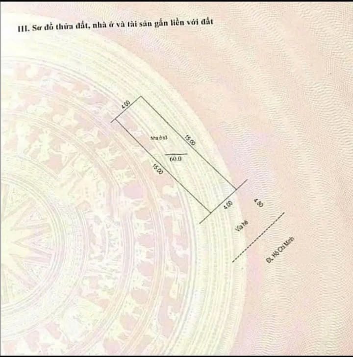 Nhà mặt phố Đại lộ Hồ Chí Minh, TP Hải Dương 60m² giá 11 tỷ - Khu sầm uất lý tưởng cho kinh doanh!