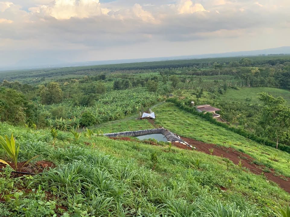 Farm 1Ha tại Túc Trưng, Định Quán giá 3.2 tỷ - View đẹp, trồng cây ăn trái
