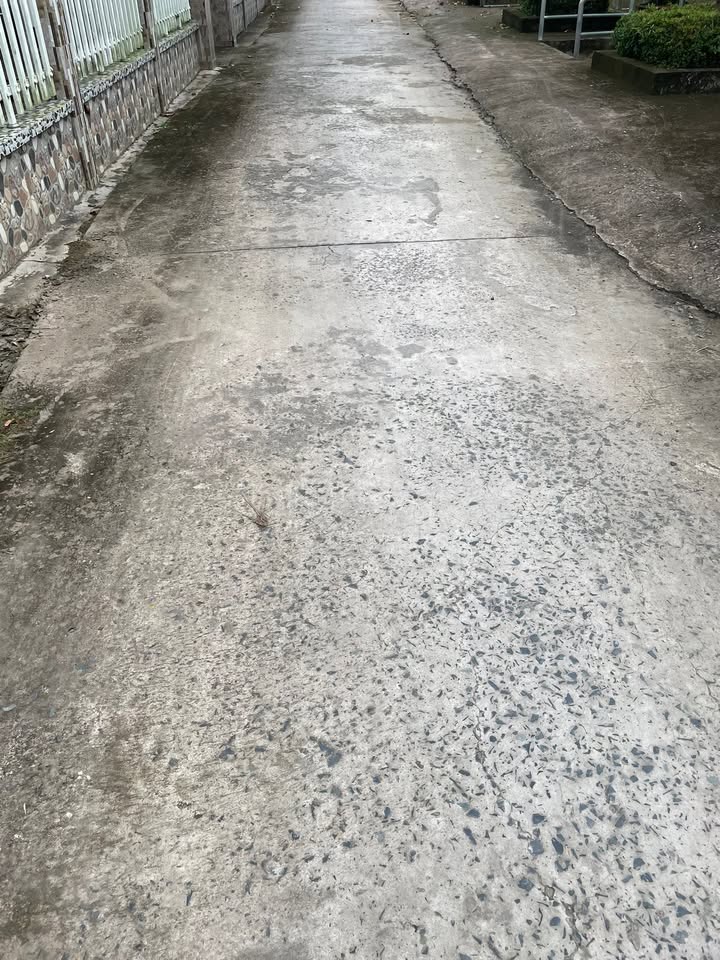 Đất vườn Tân Dương, Lai Vung 37.000m² giá 2 tỷ - Đầu tư sinh lời ngay!