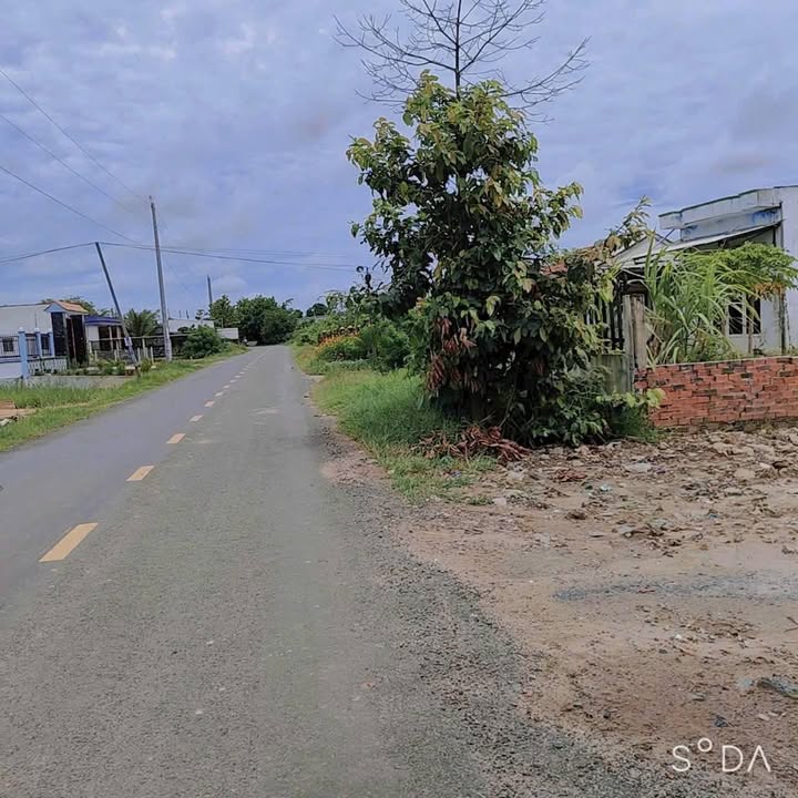 Đất thổ cư Mỹ Hạnh Nam 150m² chỉ 1.25 tỷ - Sổ hồng riêng, vị trí đẹp!