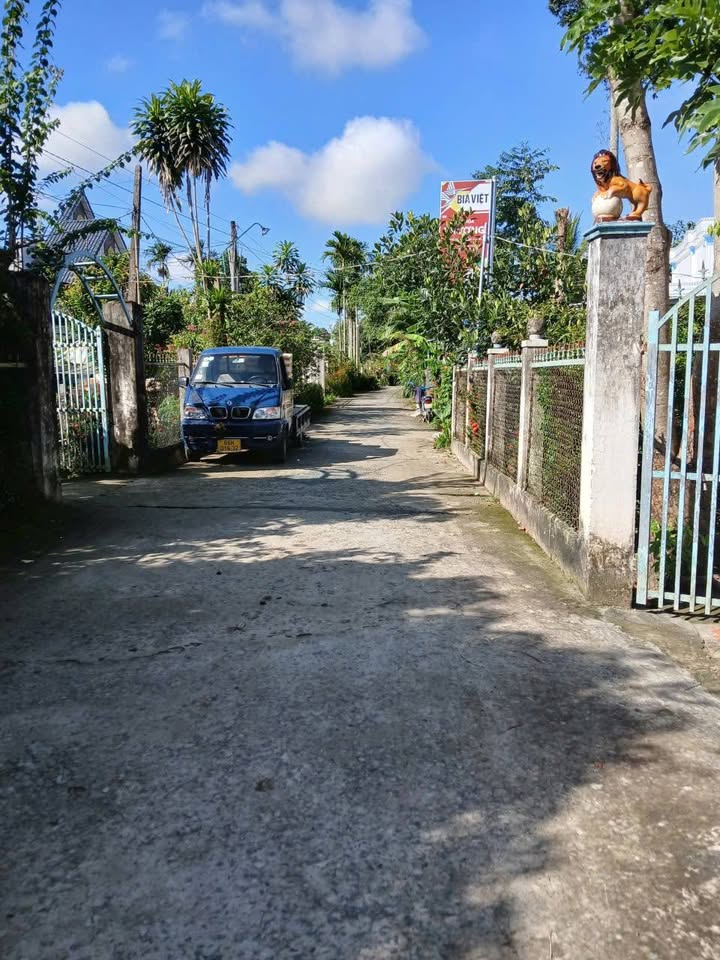 Đất nền Lộ Đan Lai Vung 87m² giá 300 triệu - Gần chợ Tân Phước chỉ 200m!