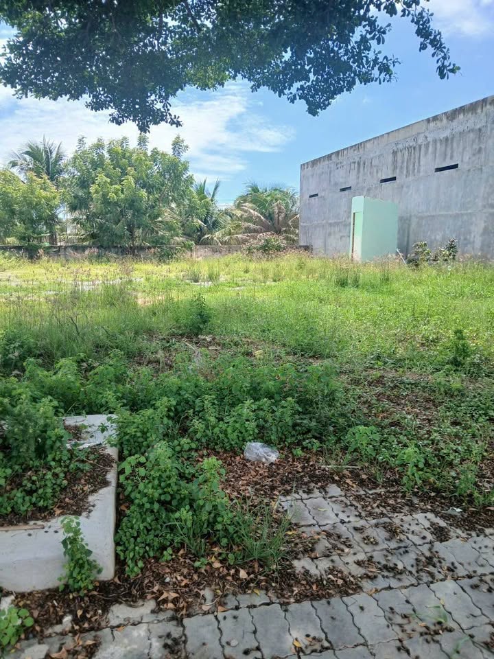 Đất nền An Hải, Ninh Phước 911m² giá 6.7 tỷ - Đầu tư sinh lời lý tưởng!