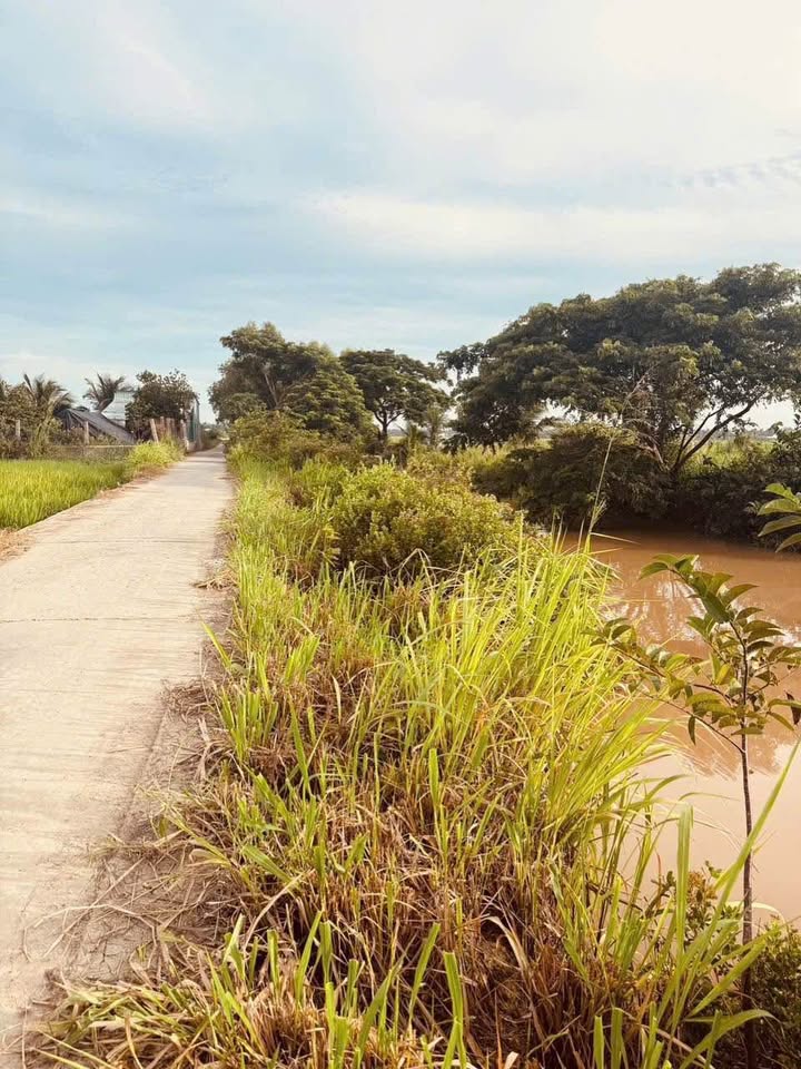 Đất thổ cư Hòa Thuận 2230m² giá 1.2 tỷ - Vị trí đẹp đầu tư sinh lời!