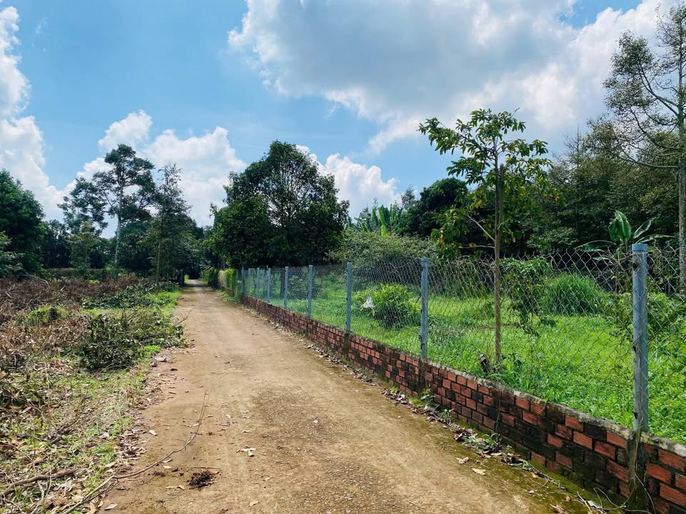 Đất nền Xuân Tân, Long Khánh 105m² giá 790 triệu - Cơ hội đầu tư hiếm có!