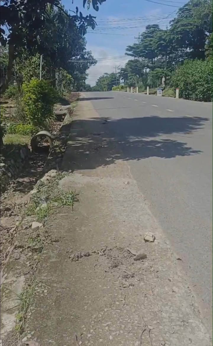 Đất thổ cư 6,9 sào xã Quảng Lập - Đơn Dương, Lâm Đồng giá chỉ 4 tỷ