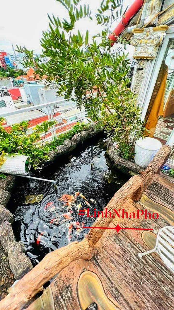 Biệt thự dát vàng 18K tại Tân Thuận, quận 7, 62m² giá 11 tỷ - Thiết kế hoàng gia đẳng cấp!