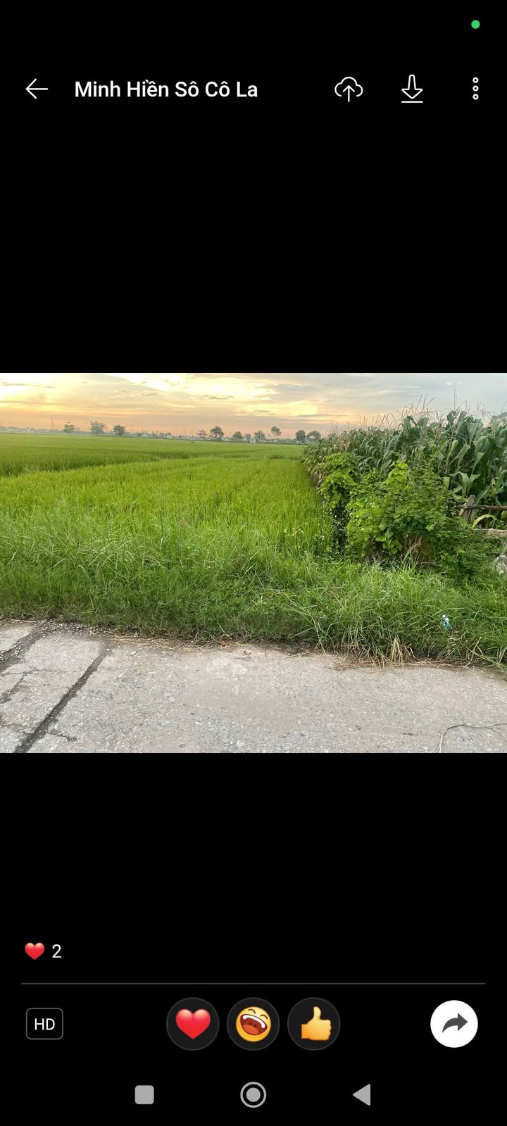 Đất nền Thôn Cộng Hòa, Minh Hòa, Hưng Hà, Thái Bình 100m² - Giá chỉ 1 tỷ VND!