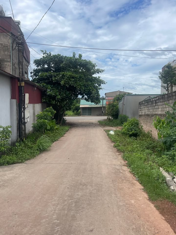 Lô đất Lục Nam Bắc Giang 162m² giá thỏa thuận - Đường bê tông xe chạy tận đất!