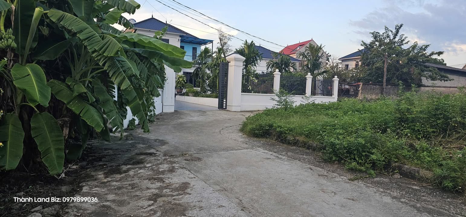 Đất nền đẹp Hiệp Hòa Bắc Giang 124,8m² chỉ 1,2 tỷ - Sổ đỏ chính chủ!