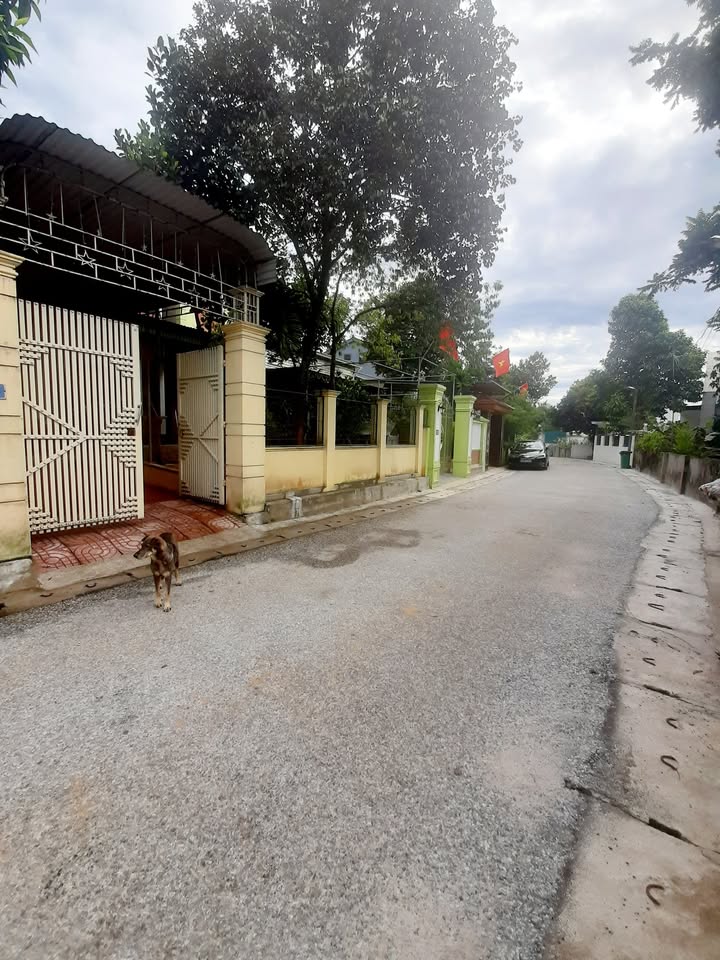 Nhà phố 270m² tại thị trấn Anh Sơn, Nghệ An - Bán gấp giá thỏa thuận!