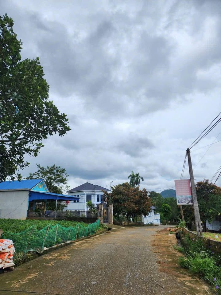 Đất nền Xuân Phú, Thọ Xuân 530m² giá 500 triệu - Đường ô tô tránh nhau!