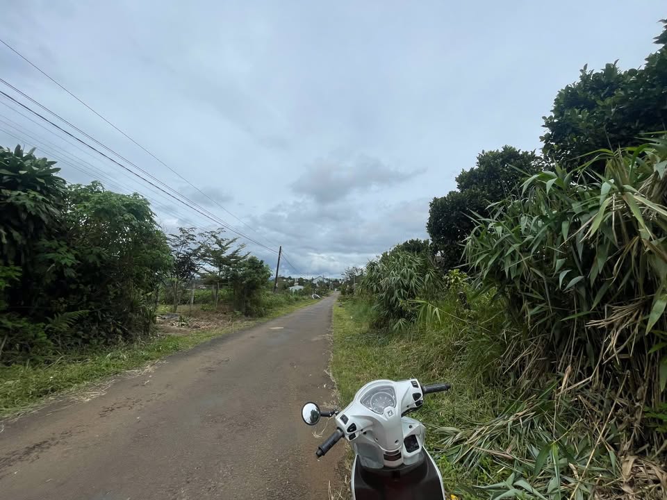 Đất nền lô góc Trần Nhất Duật P2 Bảo Lộc 1121m² - Giá chỉ 4.2 tỷ