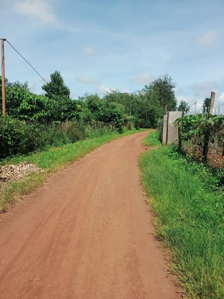 Lô đất rẫy Nhân Cơ, Đắk R'Lấp 2.6ha giá 5.7 tỷ - Cơ hội đầu tư tuyệt vời!