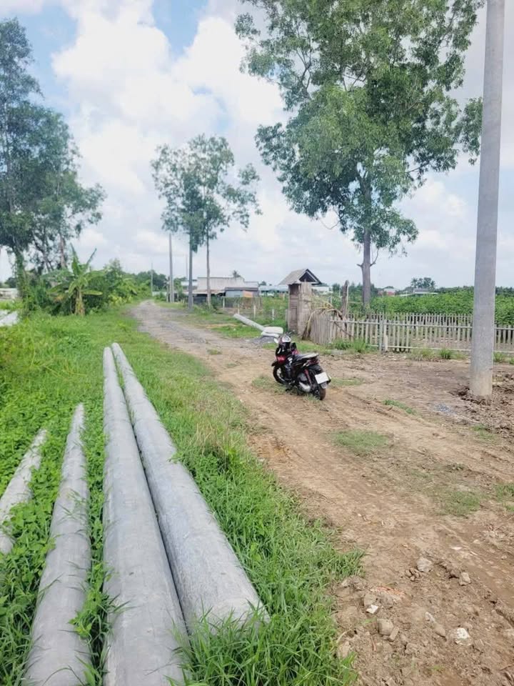 Đất thổ cư và đất vườn mặt tiền sông Trị, Bến Lức - Giá tốt, cơ hội đầu tư!