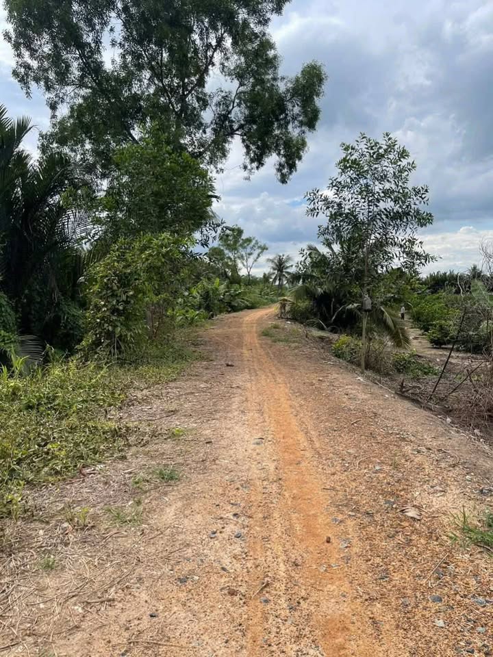 Đất vườn 4554m² mặt tiền Sông Vàm Cỏ Đông, Lương Hòa, giá 1.15 tỷ - Đầu tư sinh lời nhanh!