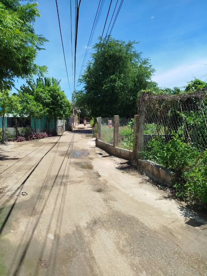 Đất trồng cây lâu năm Phường Đô Vinh 352m² giá 1 tỷ - Cơ hội đầu tư hấp dẫn!