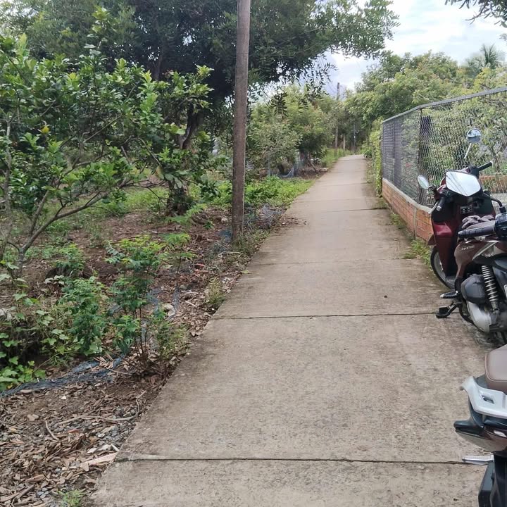 Đất nền tách thửa 1000m² xã Long Định, giá chỉ 900 triệu - Cơ hội đầu tư tuyệt vời!