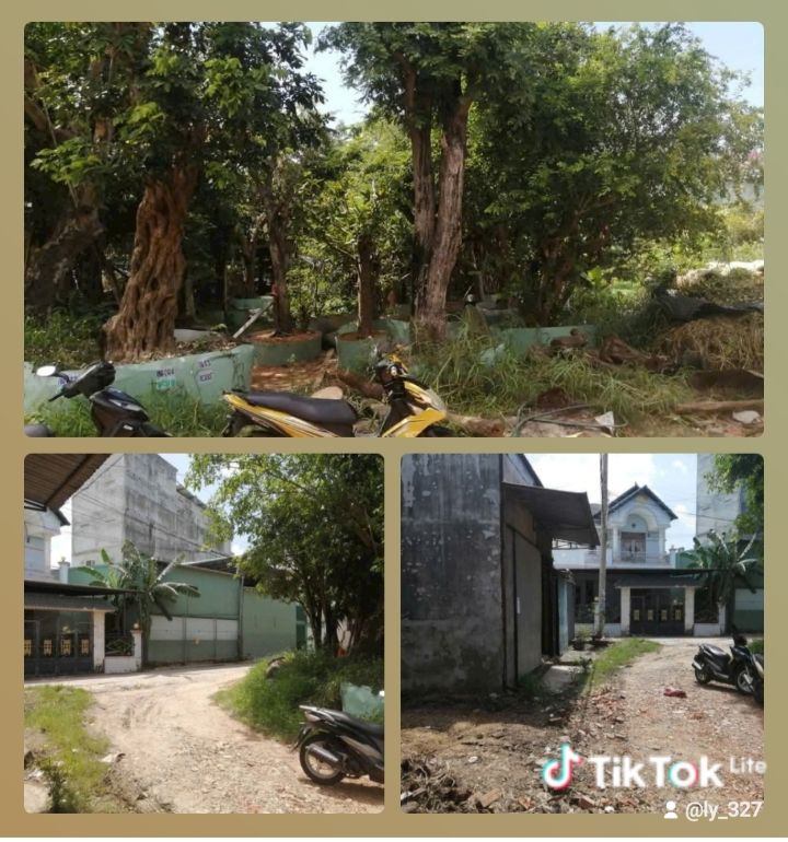 Đất thổ cư mặt tiền đường bê tông tại Phan Thiết 94m² - Vị trí đắc địa gần lộ 1A