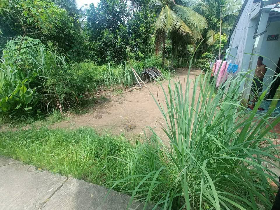 Đất nền gần cầu Cần Thơ, Đông Thuận 229.8m² chỉ 295 triệu - View sông tuyệt đẹp!