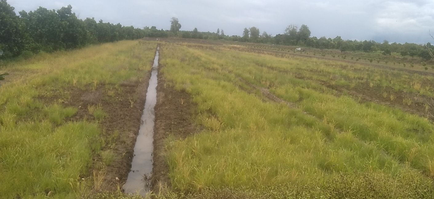 Đất nền Tân Hưng Bình Tân Vĩnh Long 10 công - Đẹp, vuông vức, giá thỏa thuận!