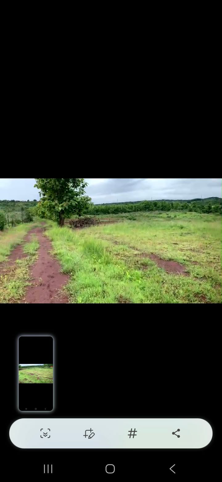 Đất Farm 2200m² xã Ea Wer, Buôn Đôn, Đắk Lắk giá chỉ 129 triệu - Sổ đỏ chính chủ!