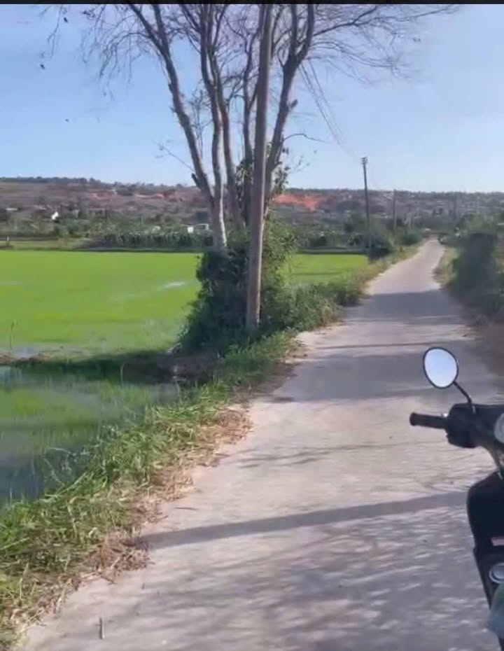 Đất nông nghiệp 1 sào Phú An, Hàm Thuận Bắc giá 699 triệu - Cơ hội đầu tư sinh lời!