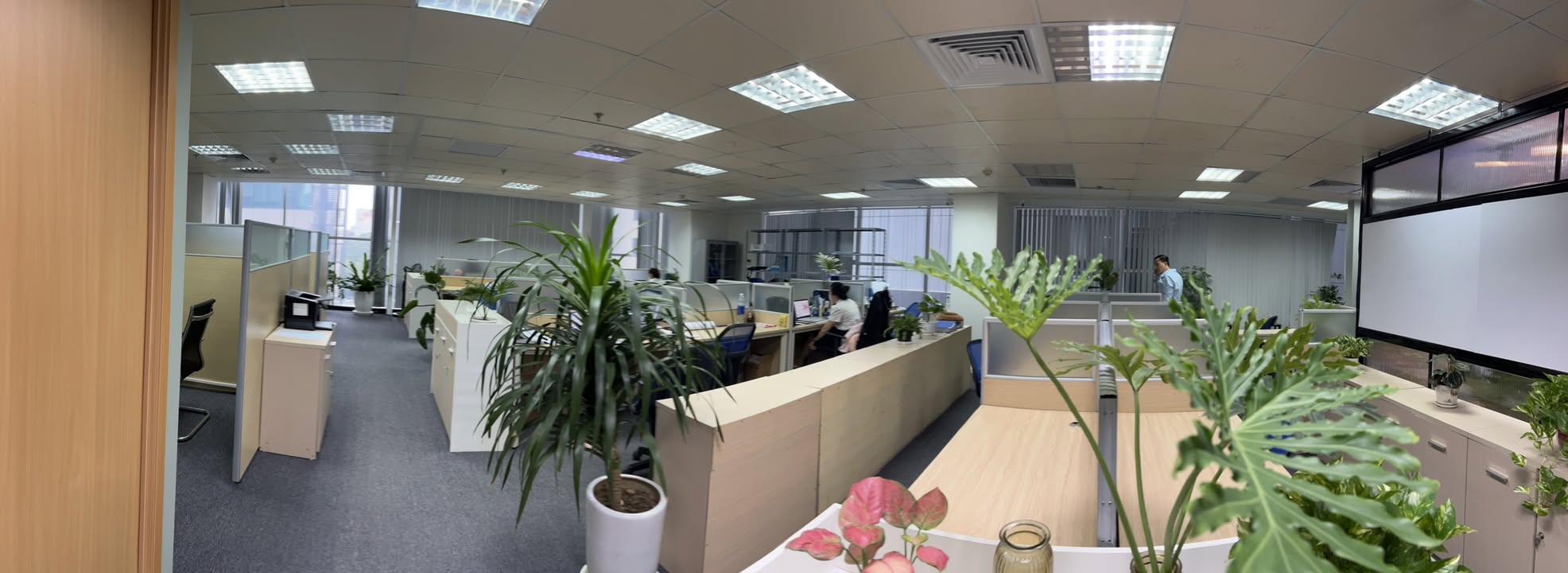 Văn phòng cho thuê Cầu Giấy 70m² giá 54 triệu - Mặt bằng rộng, thuận tiện!