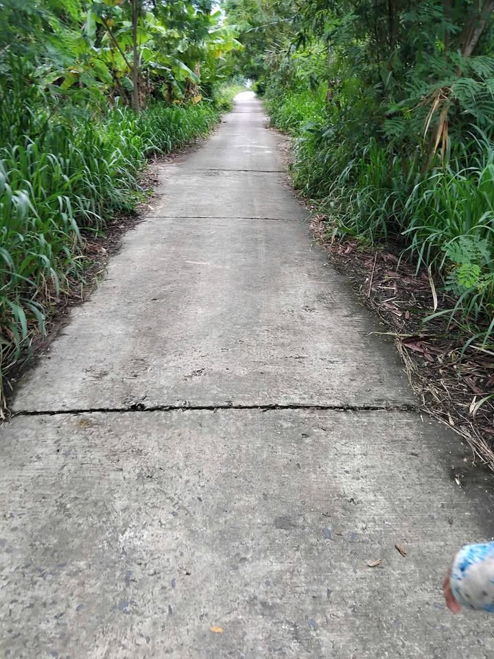 Đất nền mặt tiền Đường DAL, Hòa Tú, Mỹ Xuyên 1200m² - Giá tốt, cơ hội đầu tư!