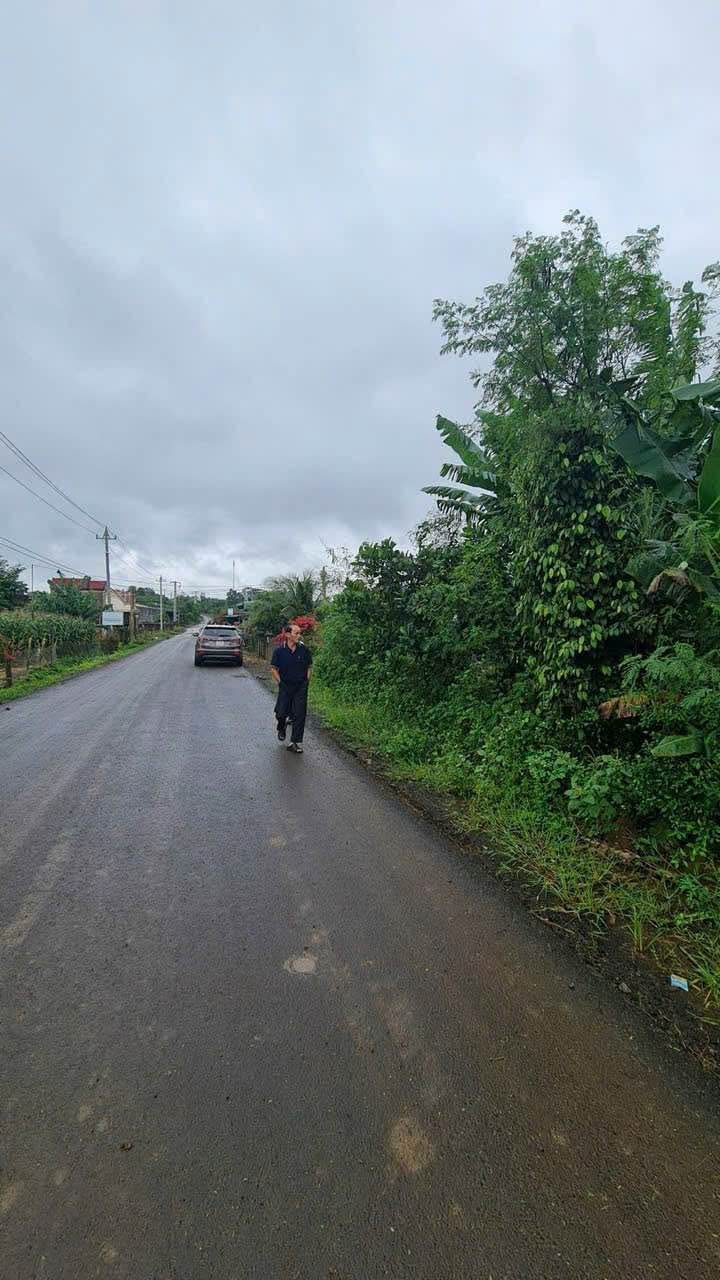 Đất thổ cư Bình Hòa, Buôn Hồ 270m² giá 820 triệu - Đầu tư lý tưởng!