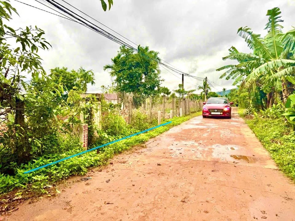 Đất nền xã Ea Ning 250m² giá 229 triệu - View hồ tuyệt đẹp!