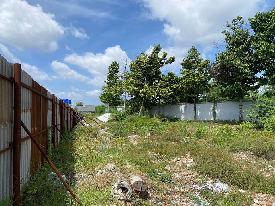 Cho thuê đất Tân Bình 1.700m² giá 150 triệu - Vị trí đẹp kinh doanh tự do!