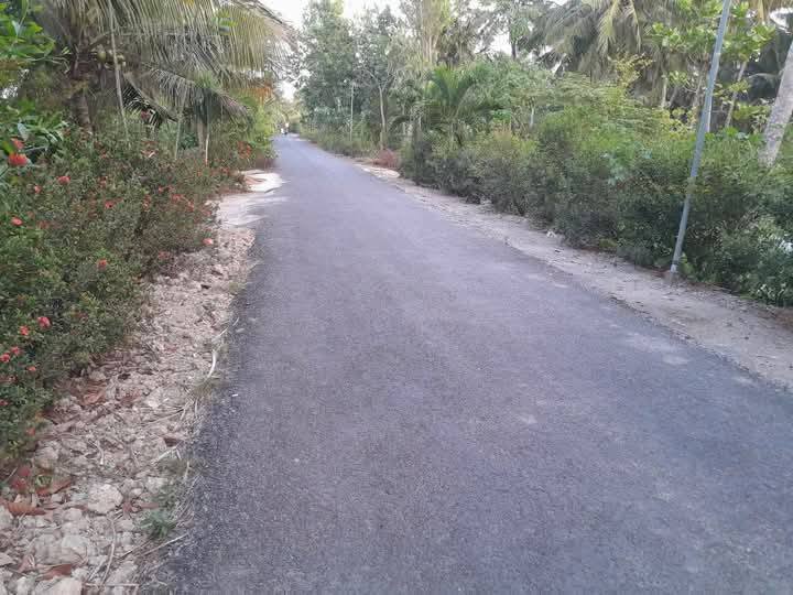 Đất 2 mặt tiền tại Tân Long Hội, Mang Thít 195m² giá chỉ 520 triệu - Cơ hội đầu tư hấp dẫn!