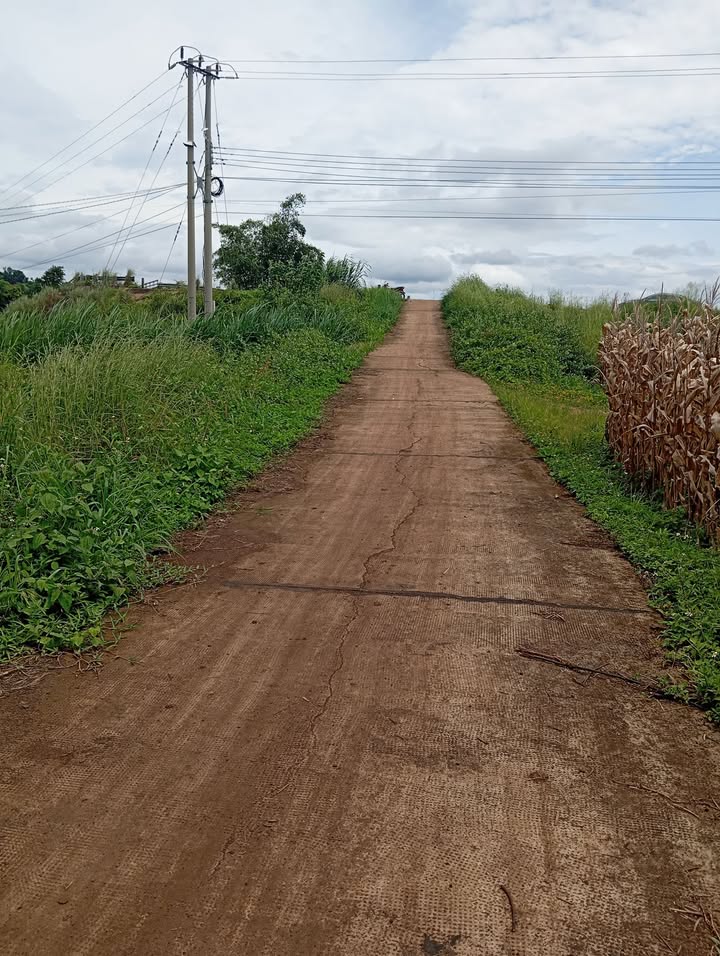 Đất nền Đắk Mil 20.000m² giá 3.6 tỷ - Sổ đỏ chính chủ, mặt tiền đường lớn!